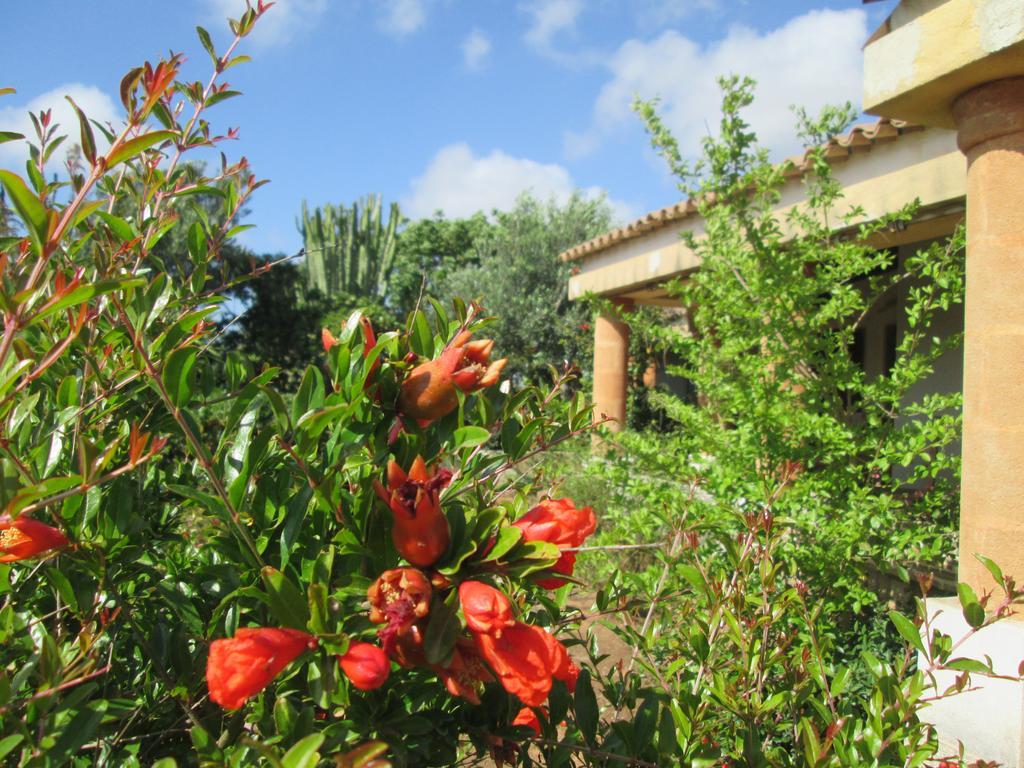 Hostal A Giummara Marsala Exterior foto